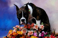 Приятно и полезно