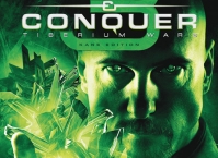 Жанр компьютерной игры: стратегия