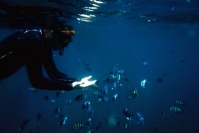 Снаряжение для снорклинга