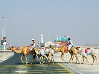 Разнообразие прекрасного мира от Орел и Решка