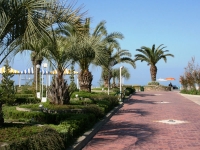 Сочи - популярная курортная зона