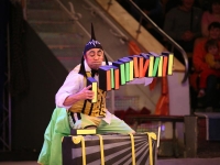 Лучшие цирковые программы