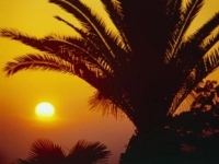 Отдых в Сочи