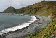 Остров Маккуори