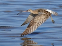 Заказники Московской области нанесли «Двойной удар» по нарушителям чистоты и порядка
