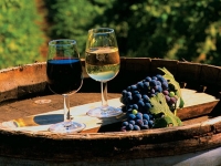 Незабываемый отдых в солнечной Грузии: Туры, Экскурсии, Курорты