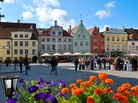 Бесплатные достопримечательности Таллина