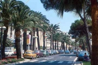 Как отдохнуть в Каннах?