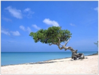 Доминикана