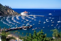 Фотография на визу в Грецию