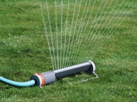 Системы автоматического полива: разновидности