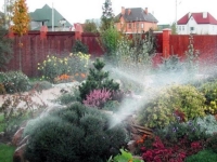 Системы автоматического полива: разновидности