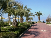 Отдых в Сочи