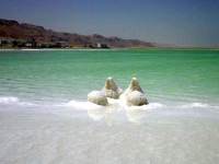 Почему люди выбирают отдых на Мертвом море