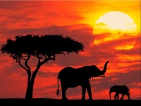 Все турагентства Перми работают, чтобы Вы отдыхали!