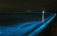 Экологический туризм в Панаме