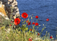 Болгария – страна роз, солнца и моря