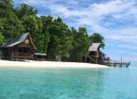 Тропические страны мира