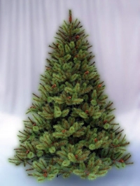 Покупка новогодних товаров