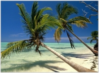 Доминикана