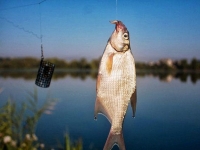Рыбалка в июне
