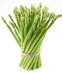 Спаржа – чудо-растение