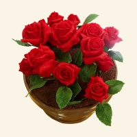 орты на заказ. Где заказать торт