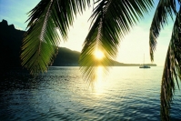 Сколько стоит горячий тур в Доминикану в 2014?