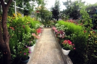 Комфортабельный частный сектор в адлере – идеальное место для жизни на курорте