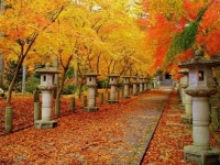 Незабываемые путешествия в Китай