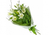 Модный досуг