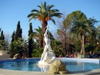 Отдых в Сочи