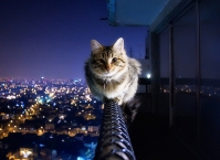 Фотографирование для начинающих