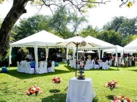 Как организовать свадьбу самостоятельно