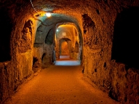 Обзорная экскурсия по Александрии, Египет