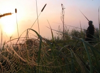 Страсти про снасти. В поисках идеального спиннинга