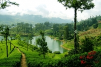 Туры в Шри-Ланку от компании GroupTravel