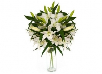 Модный досуг